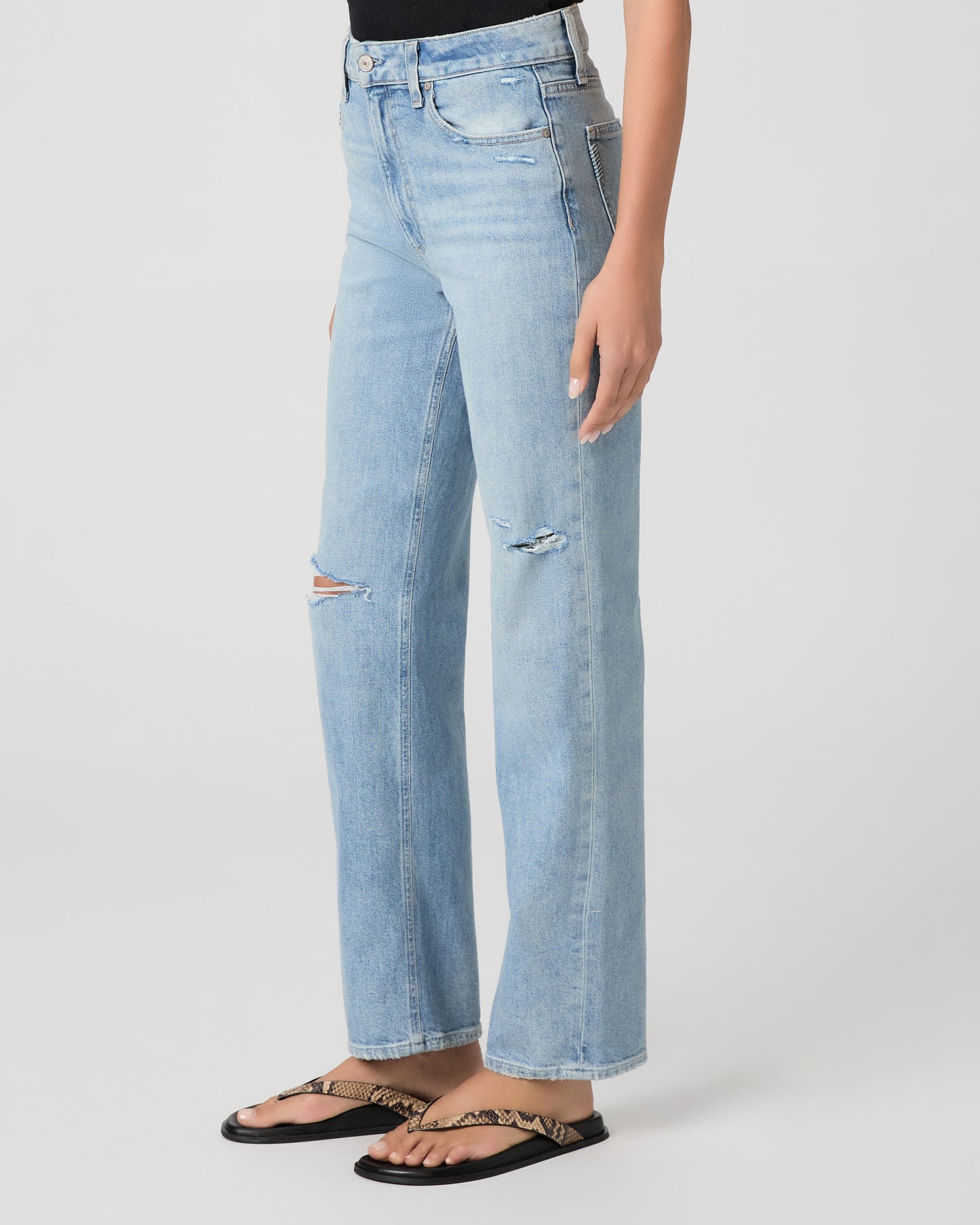 Stevie 31in - Audubon Destructed 23