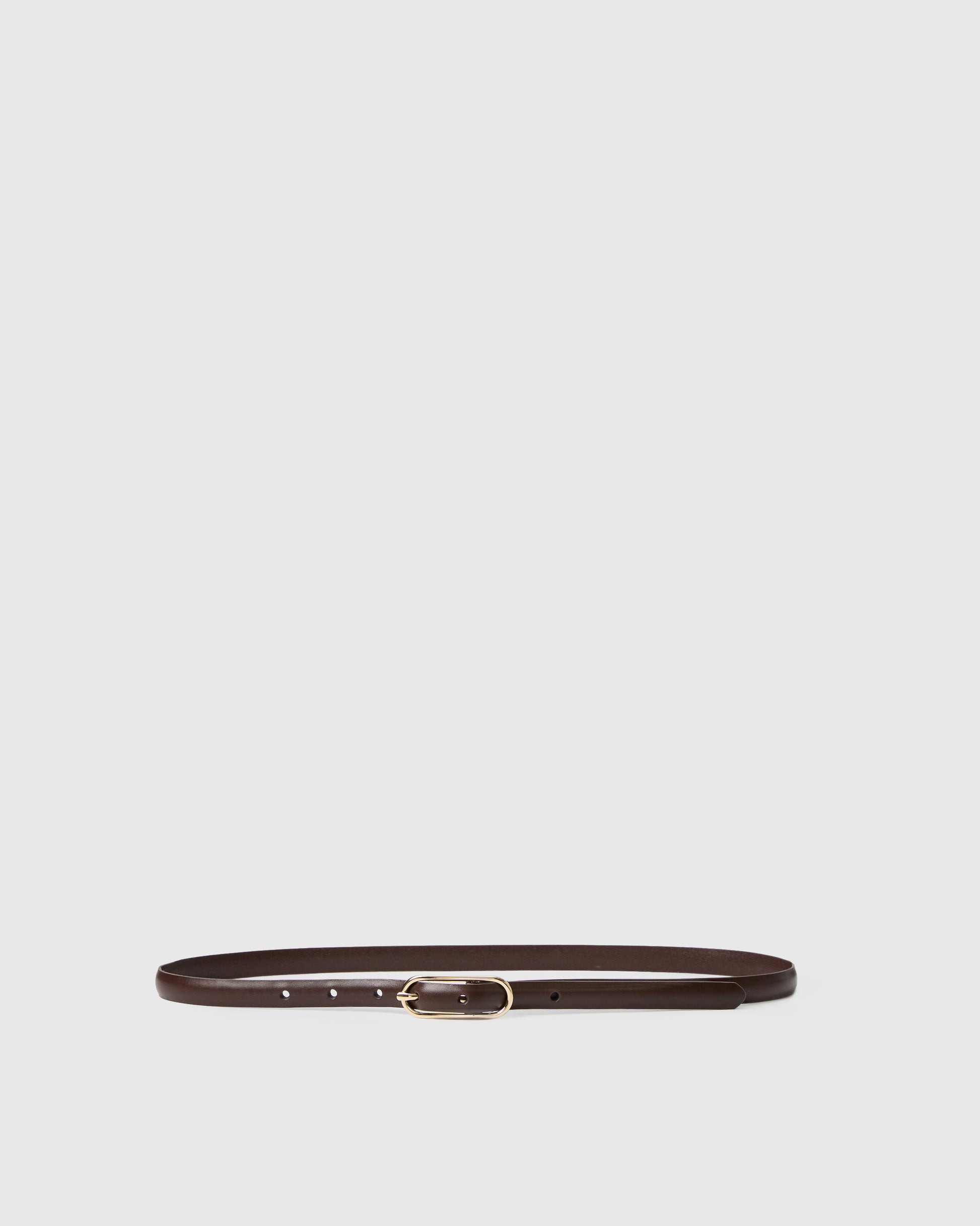 Brown leather belt with gold buckle against a white background