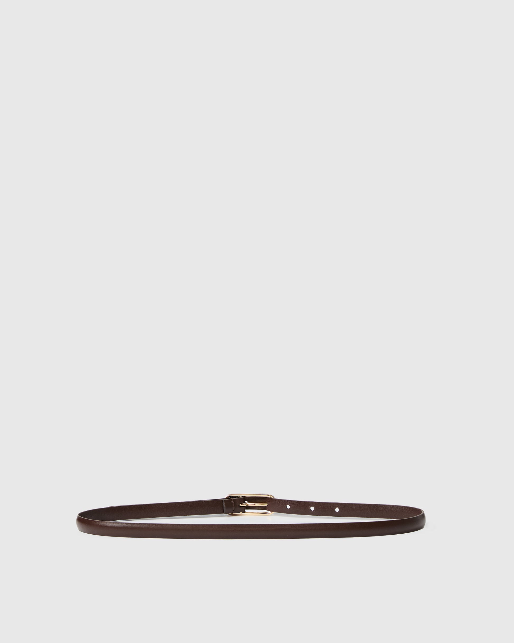 Brown leather belt with gold buckle against a white background
