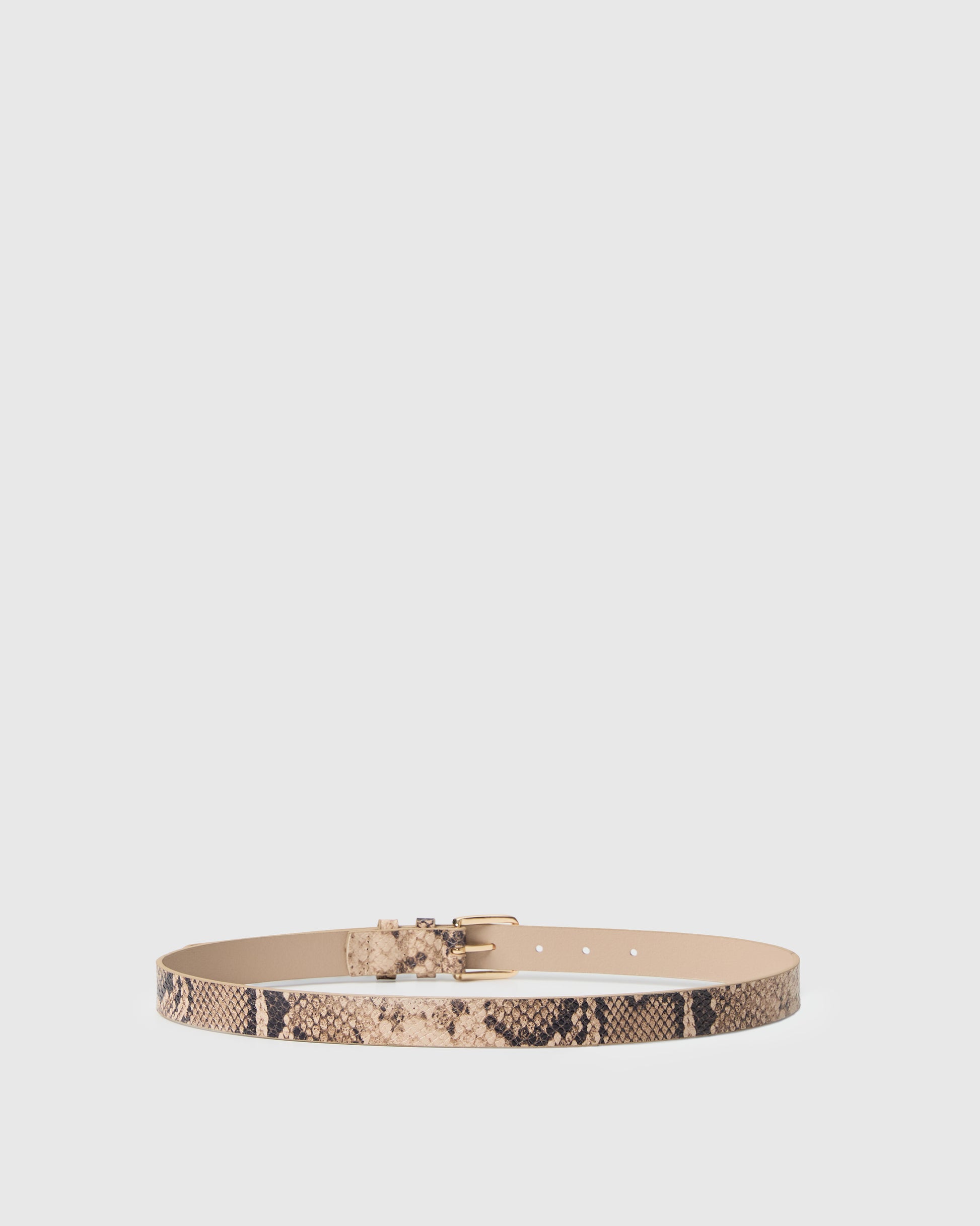 Macey Belt - Tan Multi XS
