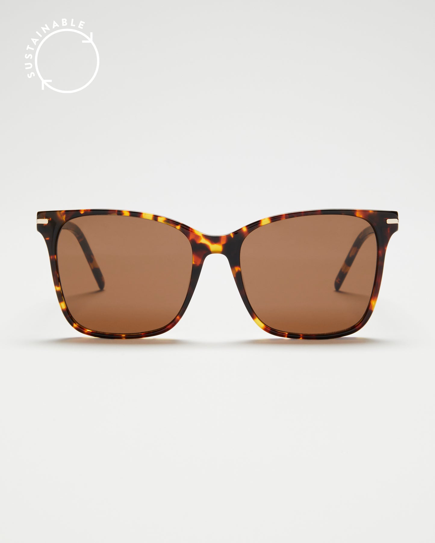 Morgan - Tortoise With Brown Lens, Image 1