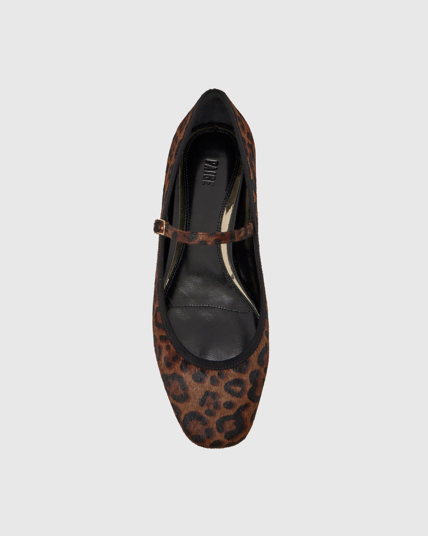 Jolie - Leopard 5