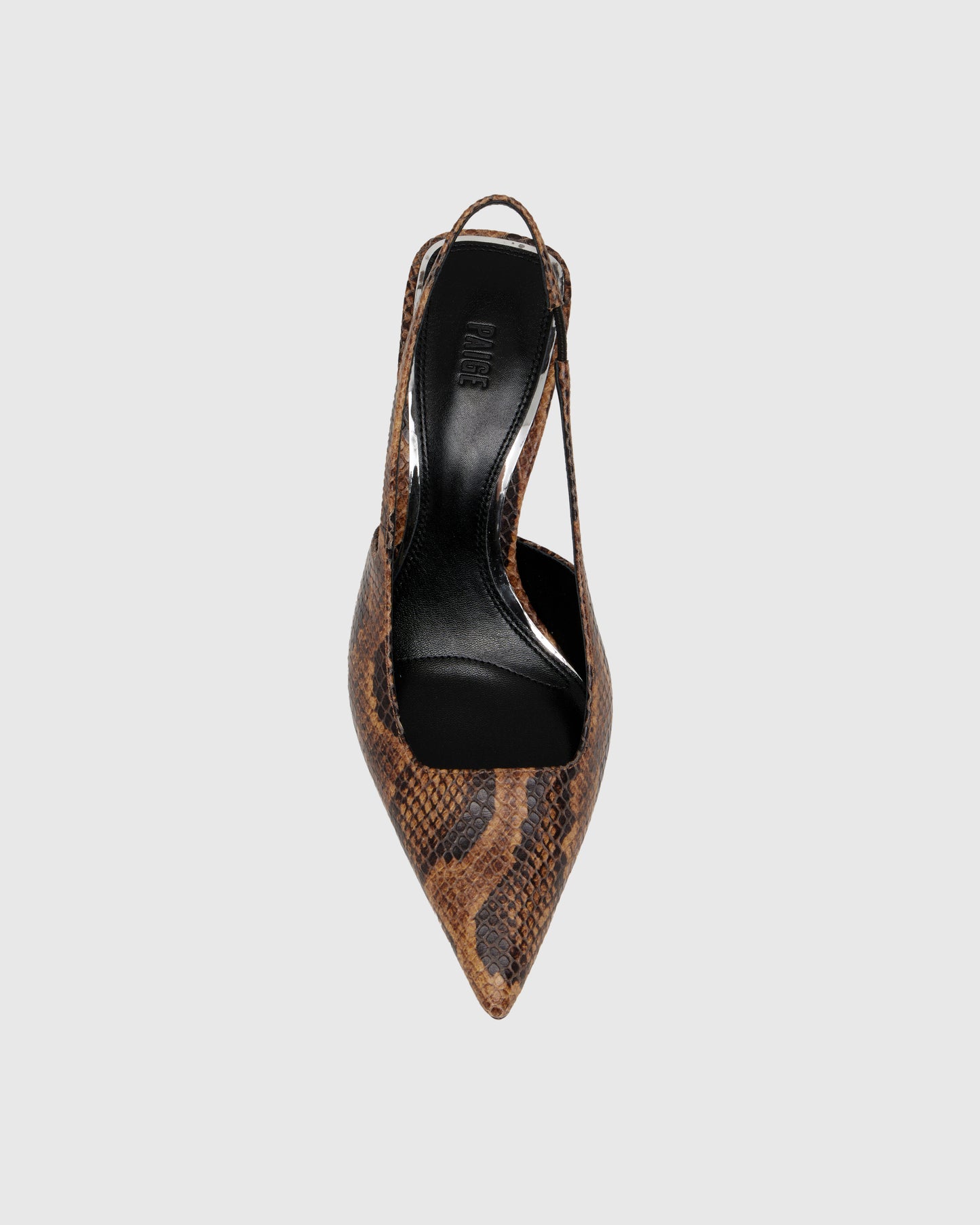 Sienna - Chestnut 5