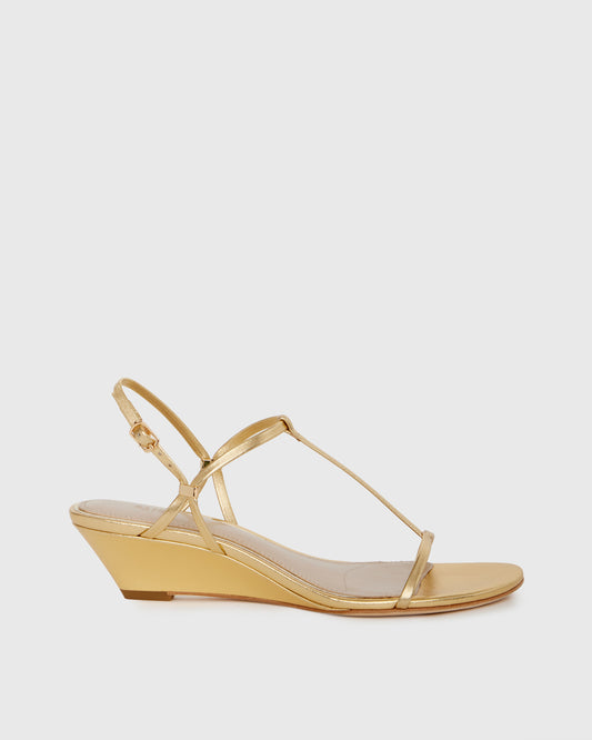 Daryn Wedge - Gold 5