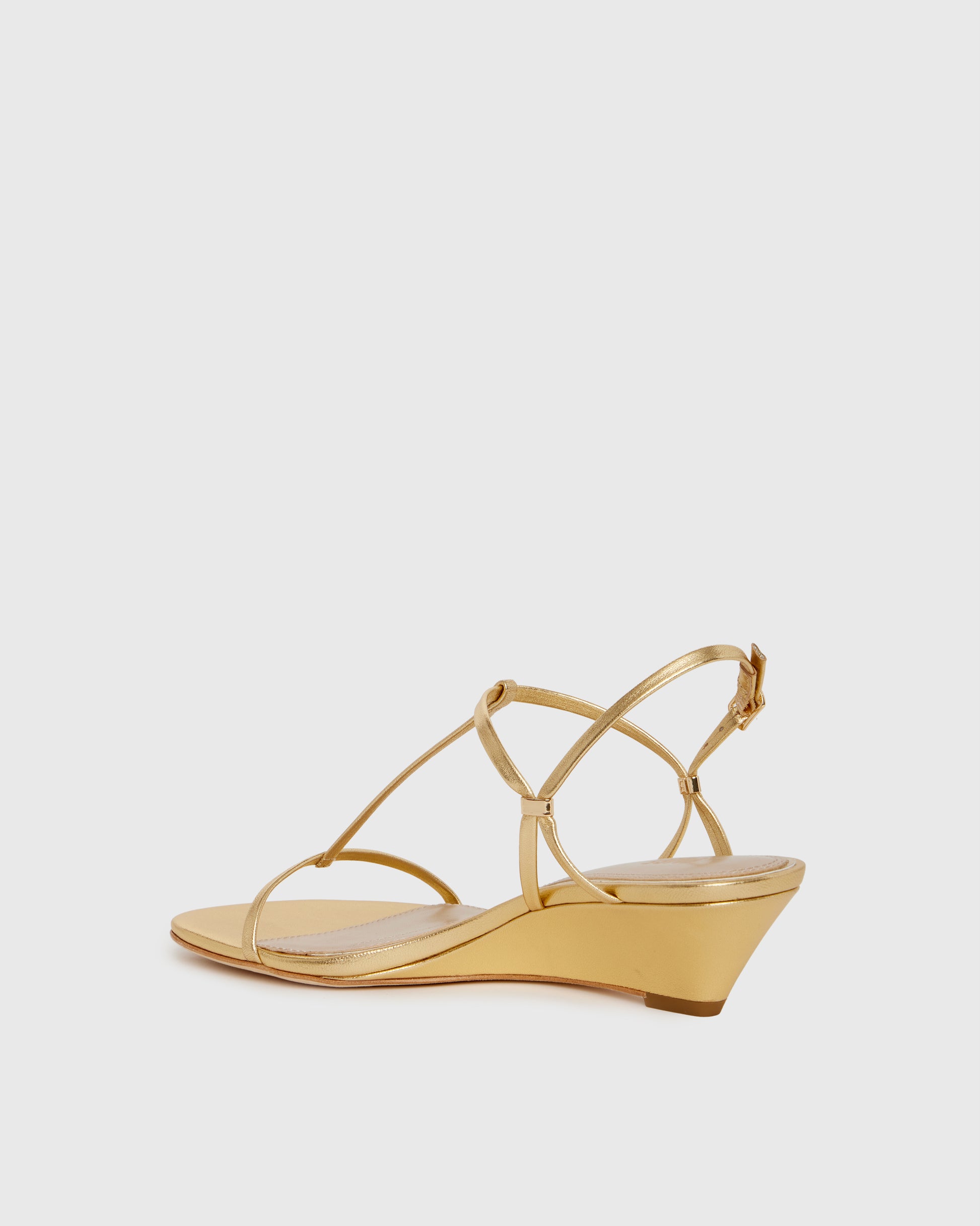 Daryn Wedge - Gold 5