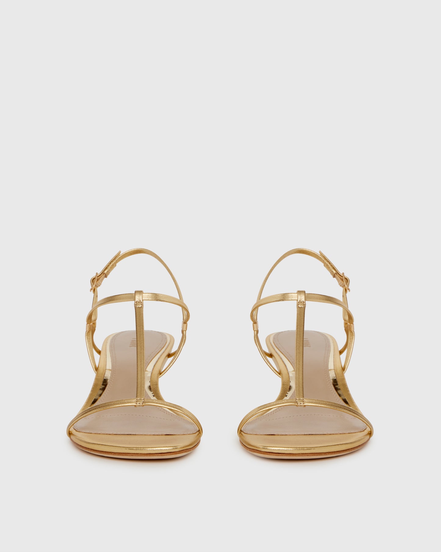 Daryn Wedge - Gold 5