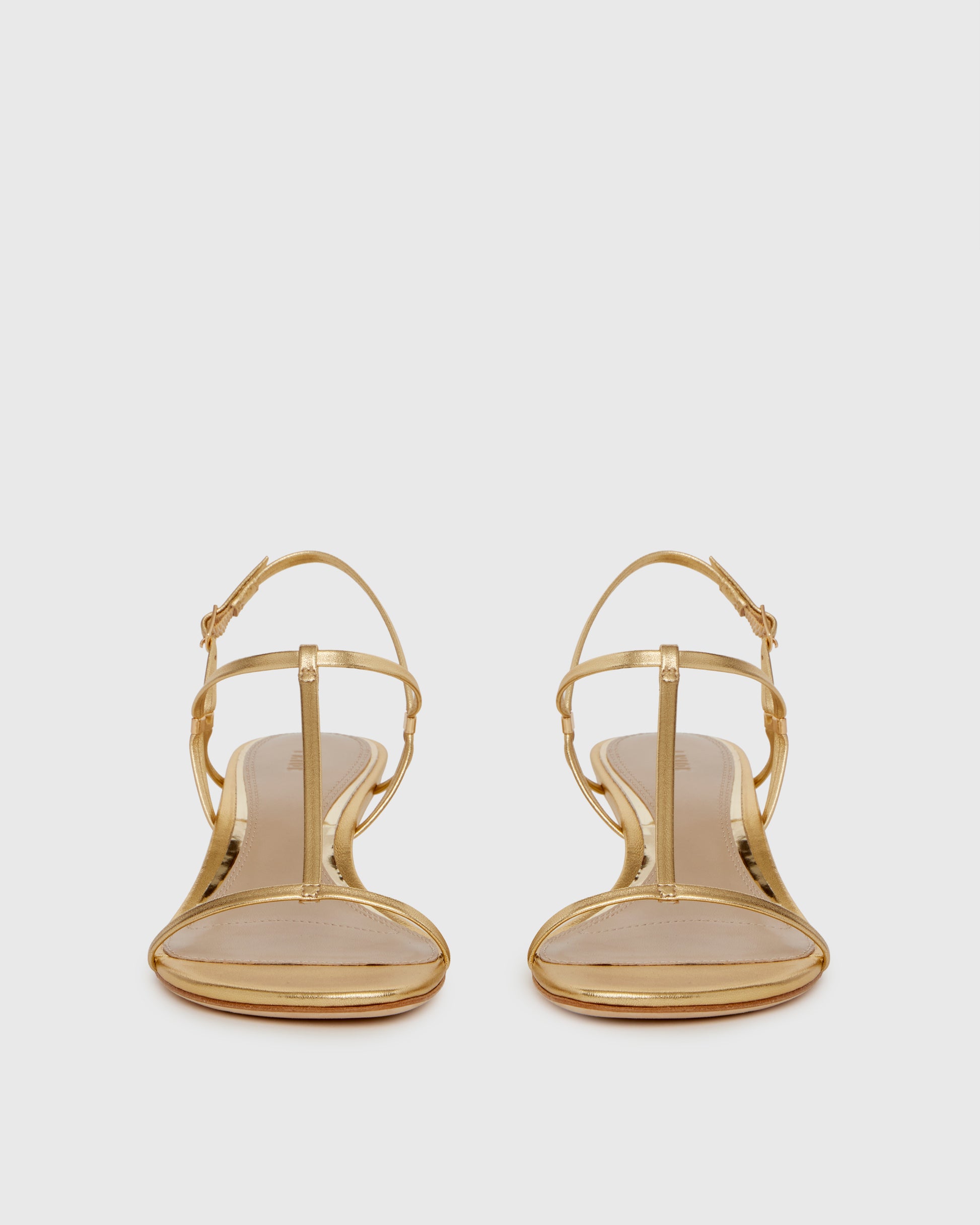 Daryn Wedge - Gold 5